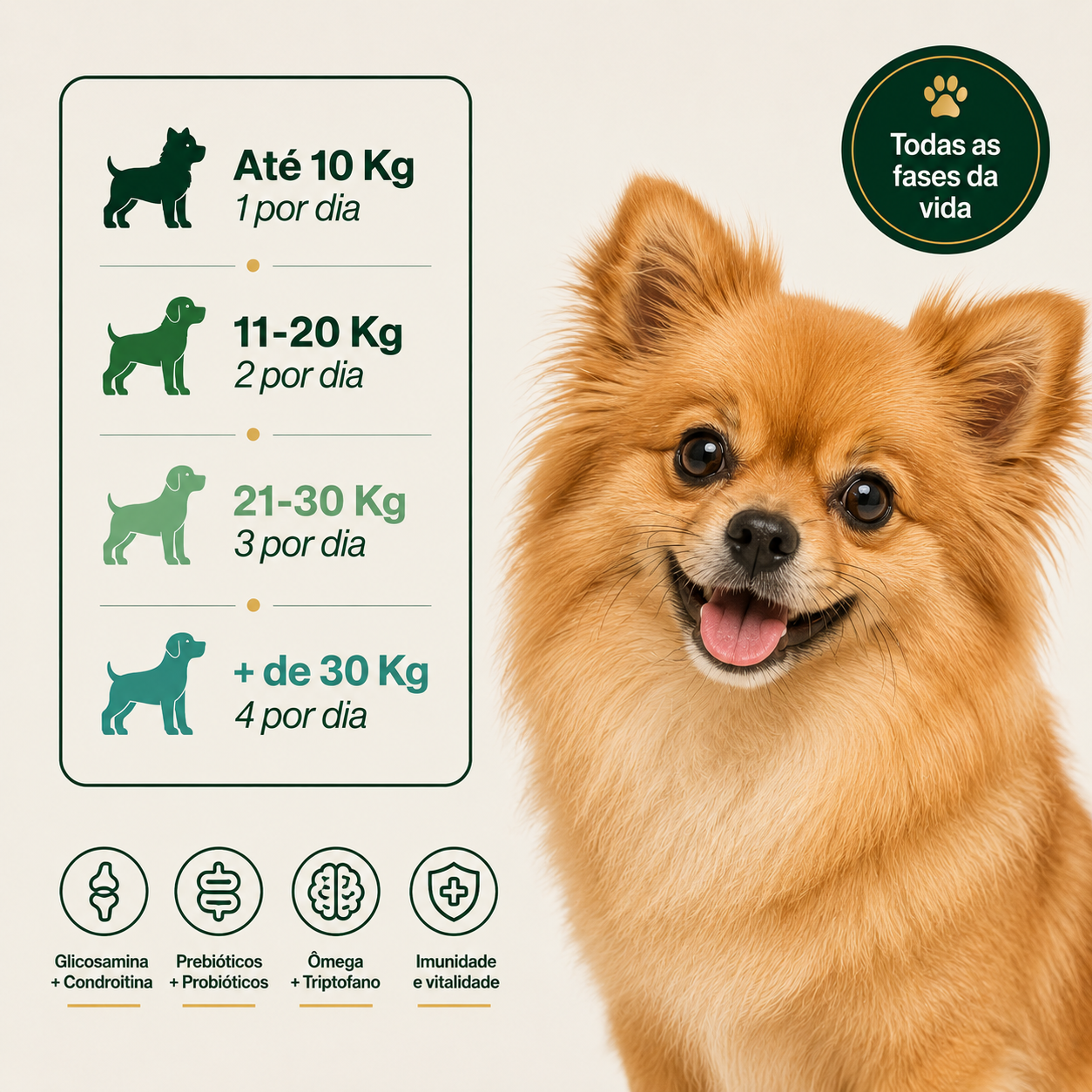 Como usar o Revolute na rotina do seu cão